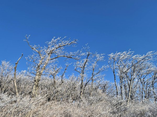 Unveil the Best Natural Libido Enhancers: Proven Supplements to Ignite Passion!